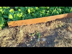 1SGS 000 มม. * 1.6 มม. * 100 มม. ขอบเหล็กชุบสังกะสี Corten ขอบขอบสนามหญ้า Corten